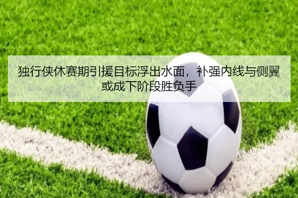 独行侠休赛期引援目标浮出水面，补强内线与侧翼或成下阶段胜负手 - bet365